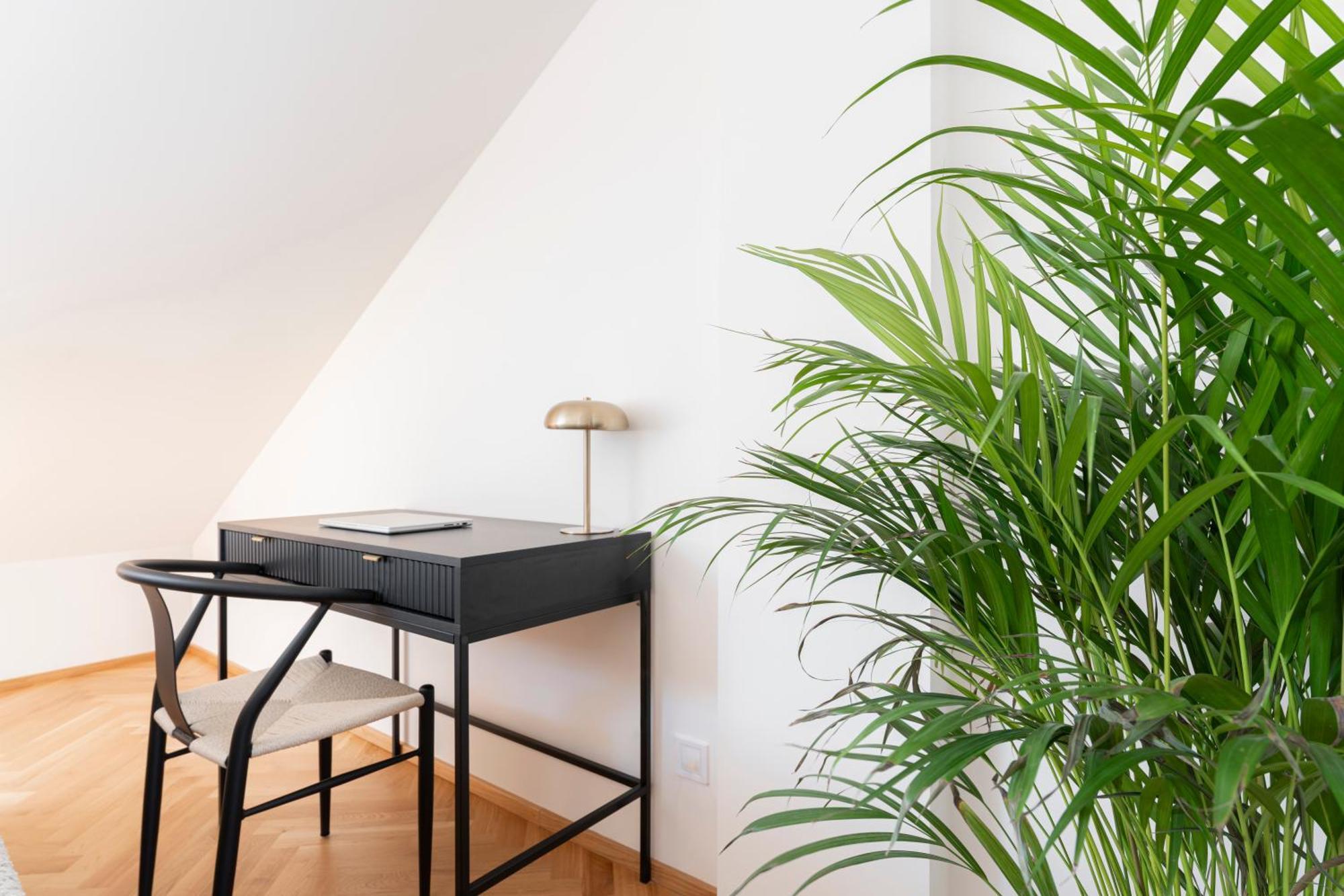 Visit Oomph Prague